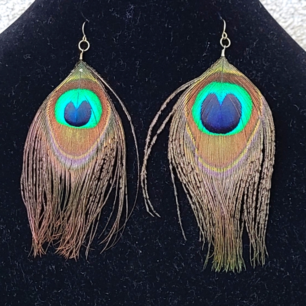 Peacock 🦚 Earrings